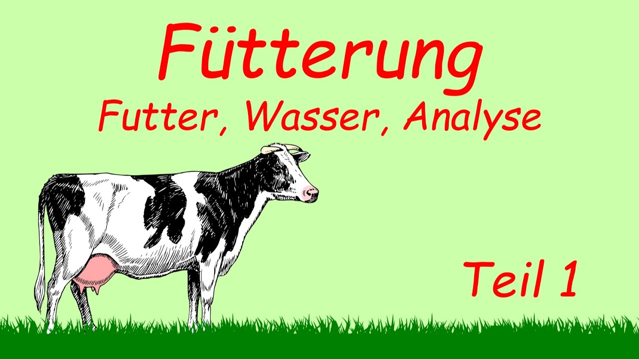 Grundlagen Fütterung | Teil 1 | Podcast | Kuhles zum Kauen