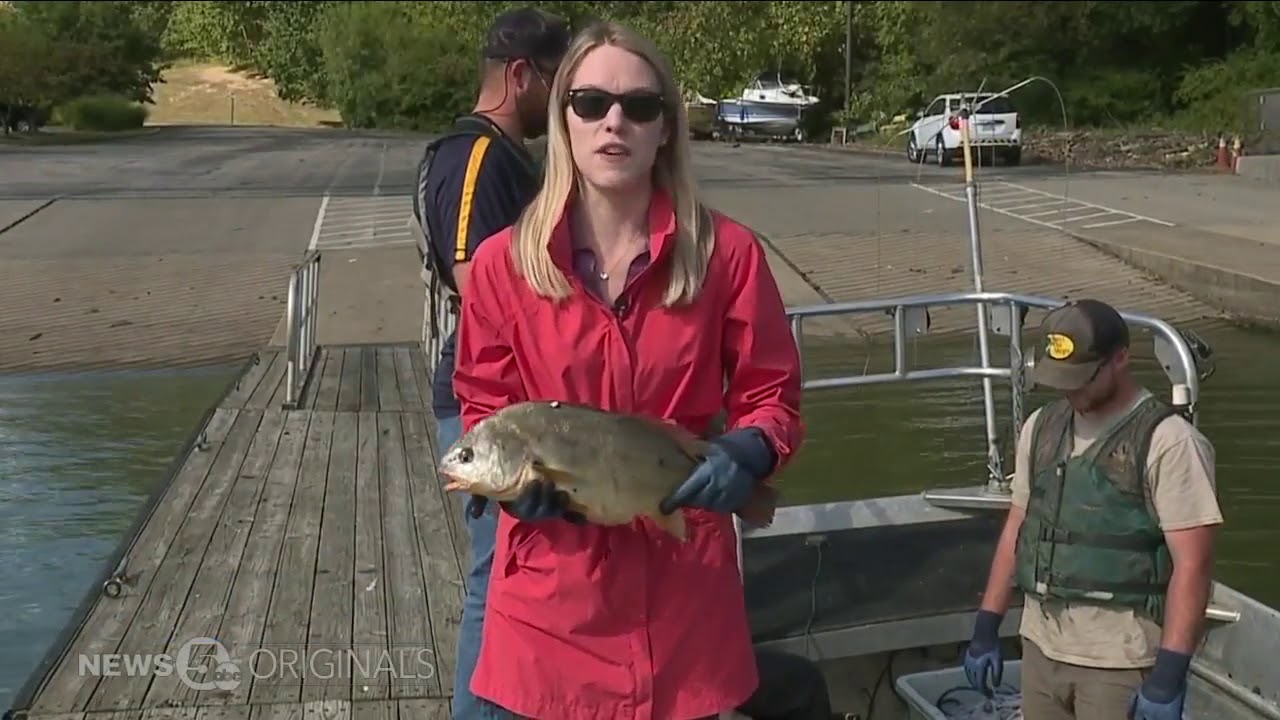 Invasive fish species are a problem in Northeast Ohio waters