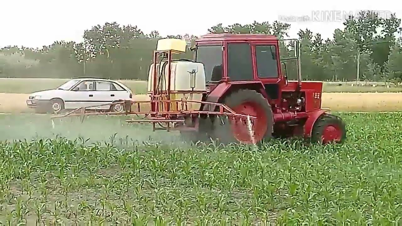 MTZ 82  Kukorica gyomirtó permetezés közben. / MTZ Agro VLOG /