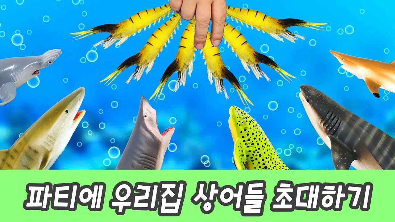 한국어ㅣ파티에 우리집 상어들 초대하기! 상어 만화, 상어 이름 맞추기, 컬렉타 #224ㅣ꼬꼬스토이