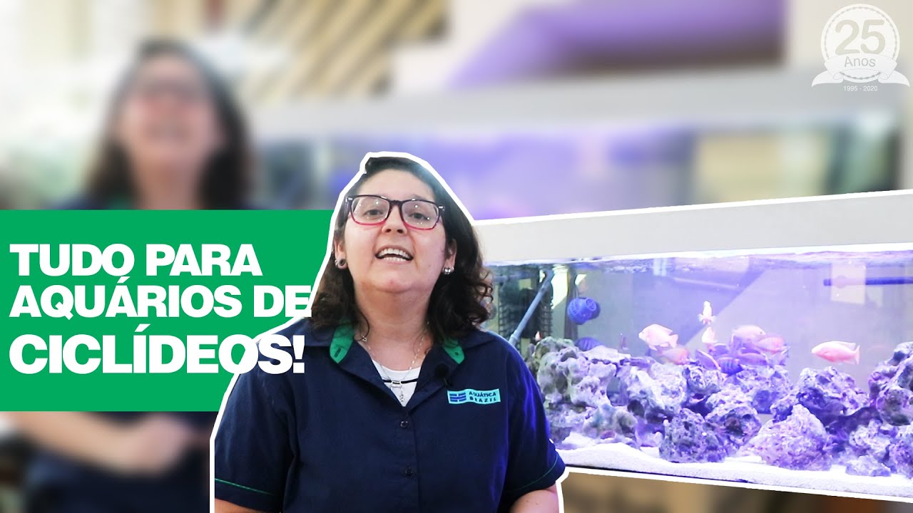 TUDO (Tudo mesmo!) QUE VOCÊ PRECISA PARA UM AQUÁRIO DE CICLÍDEOS - De A a Z!