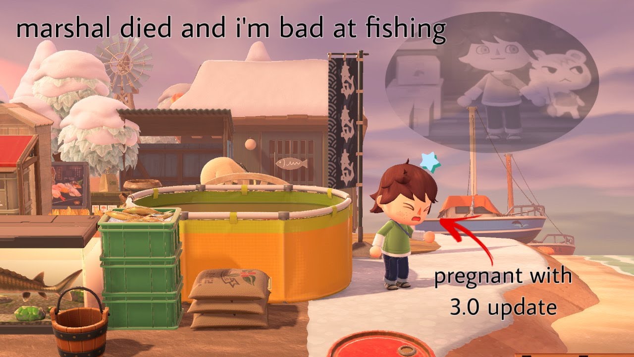 animal crossing 3.0 is here and i'm not ok