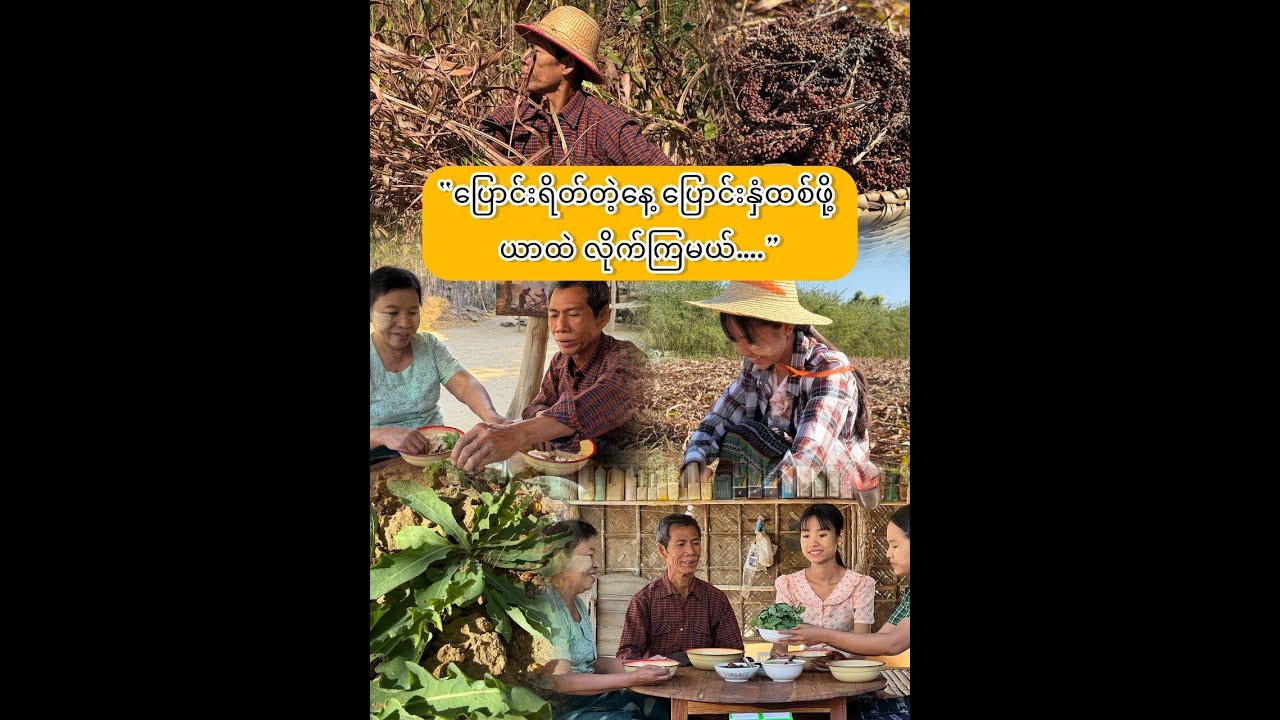 အညာဒေသရဲ့ “ပြောင်း” ဆိုသည်မှာ…