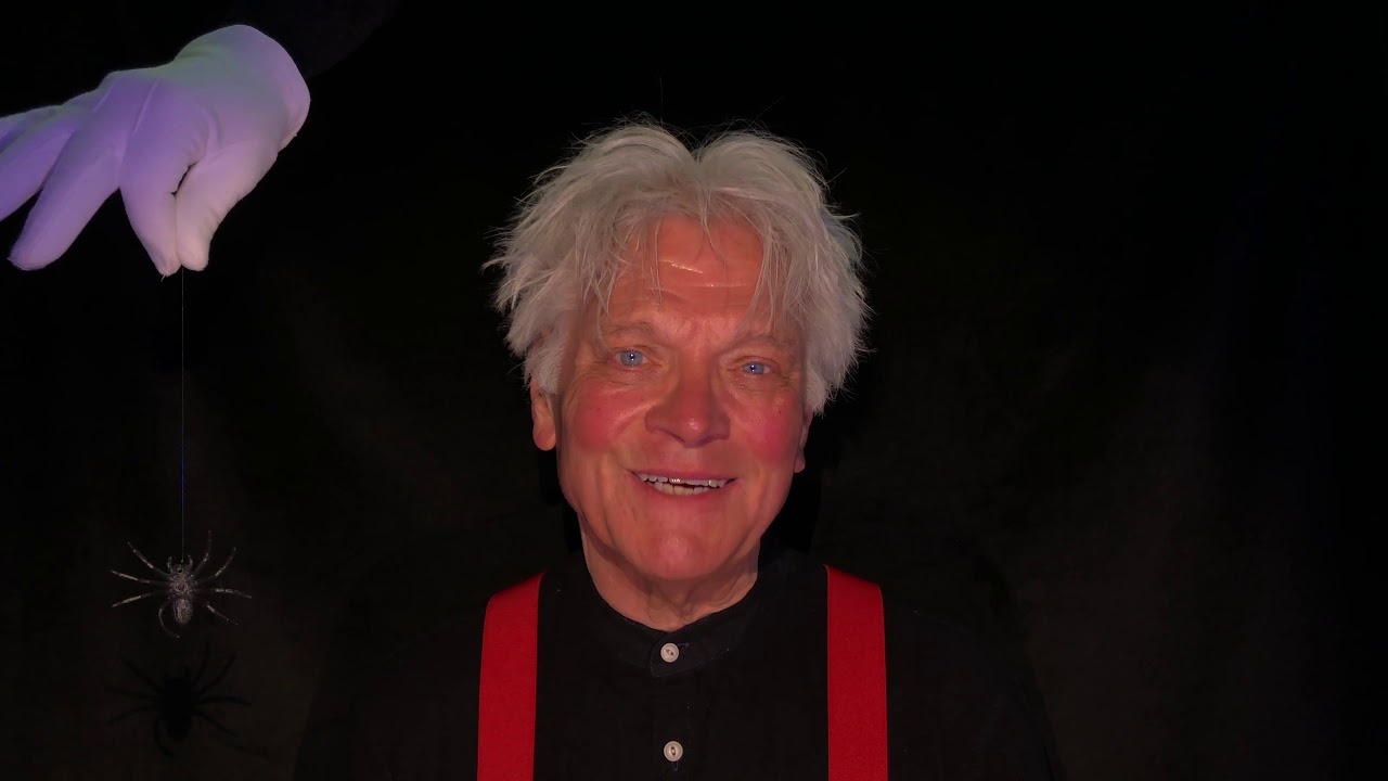 Piet van der Pas - De spin Sebastiaan