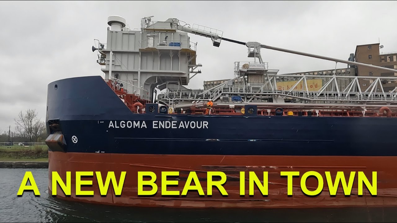 BRAND NEW ALGOMA ENDEAVOUR