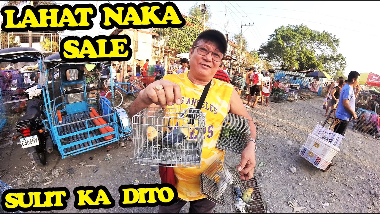 PRICE UPDATE NG MGA LOVEBIRDS SA BOCAUE BULACAN MARCH 6, 2026