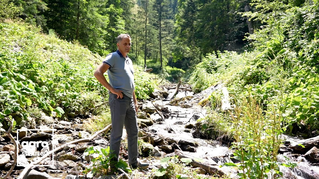 Păstrăvăria Dejani, sursa de pește proaspăt din Munții Făgărașului
