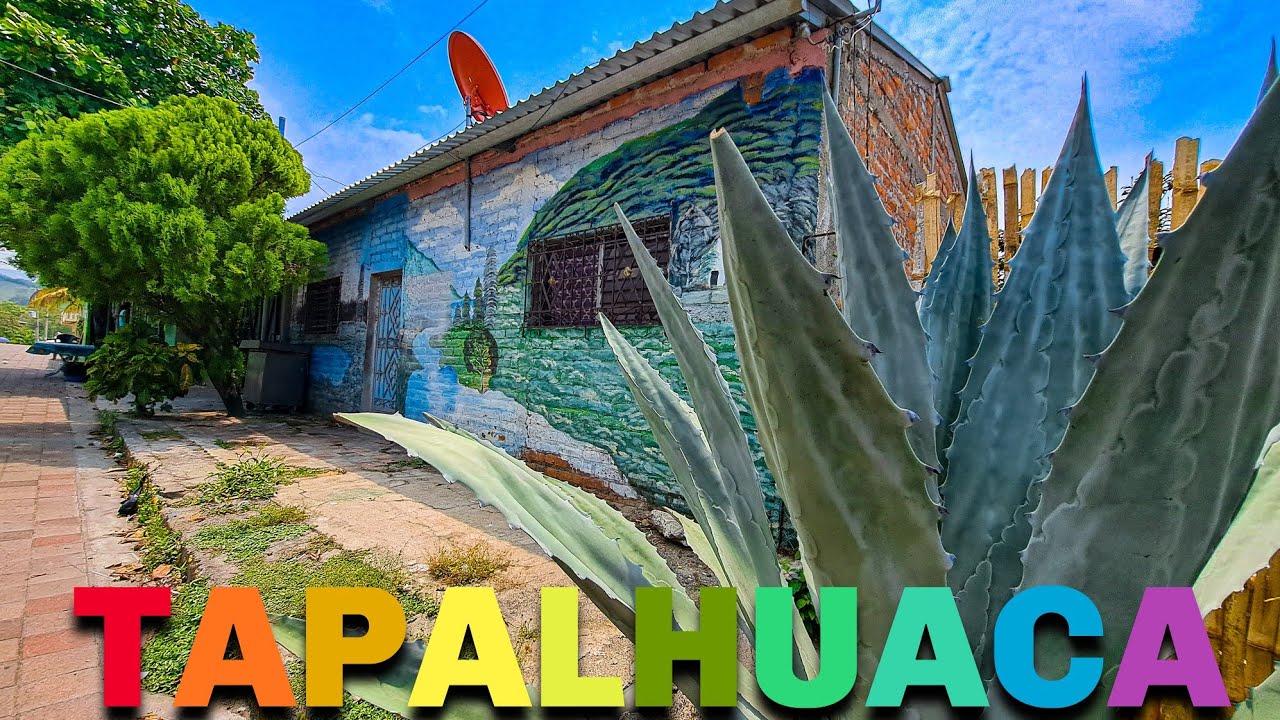 Tapalhuaca ❤️🫶🏽