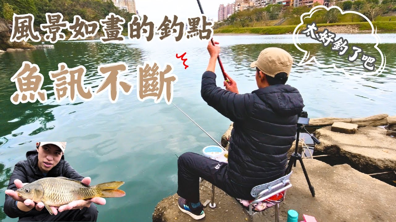 一個風景如畫的地方，魚訊不斷，釣魚人的天堂! ｜新店碧潭｜