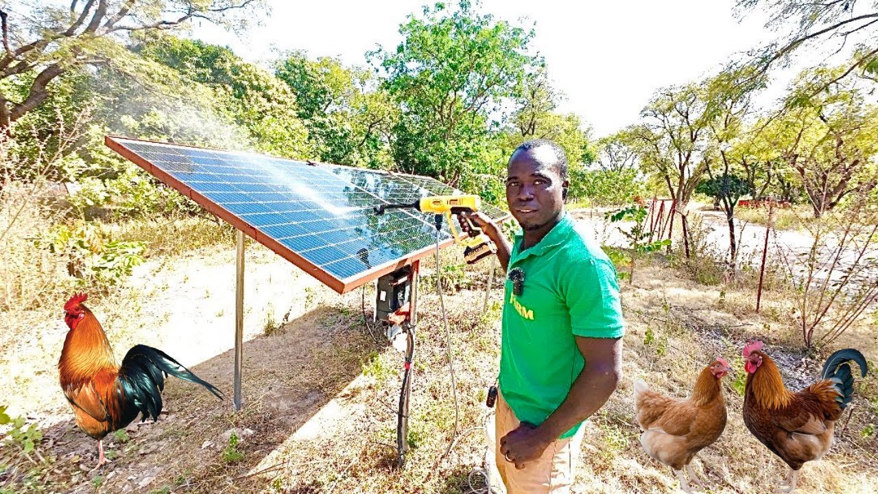 Réalisation De Ferme En Afrique: La Nouvelle Mine D'Or Ou Juste Une Mode?