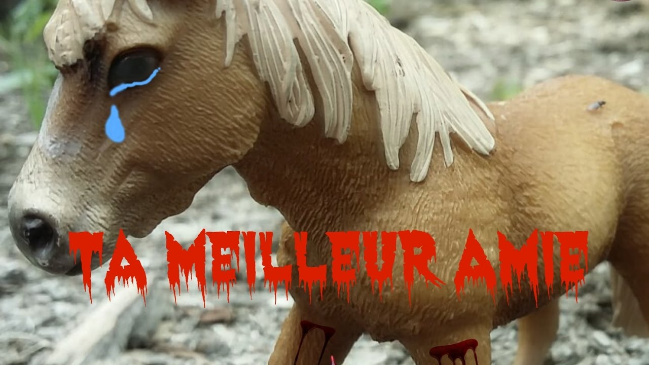 (Clip schleich ) triste #3 ta meilleure amie