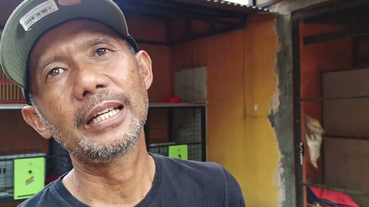 RUMUS TERNAK SUKSES EMBARGO, BEGINI PENJELASAN OM DOKAR