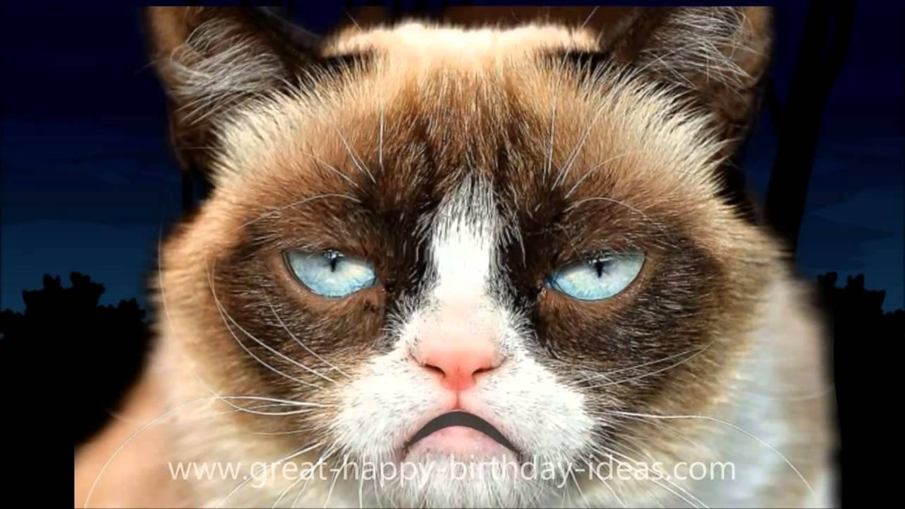 Grumpy Cat Happy Birthday Song