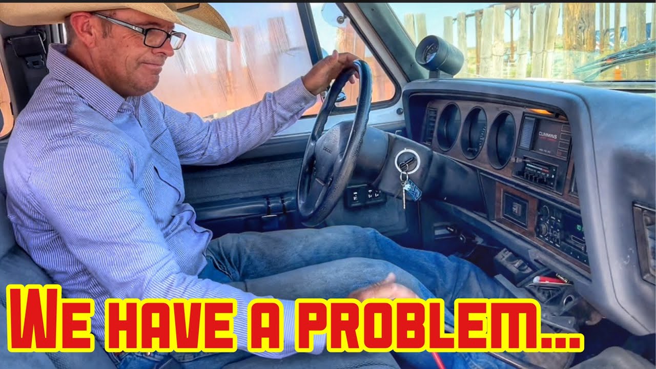 Gather horses w/Danielle | Guess who's back!!! | DROUGHT in AZ