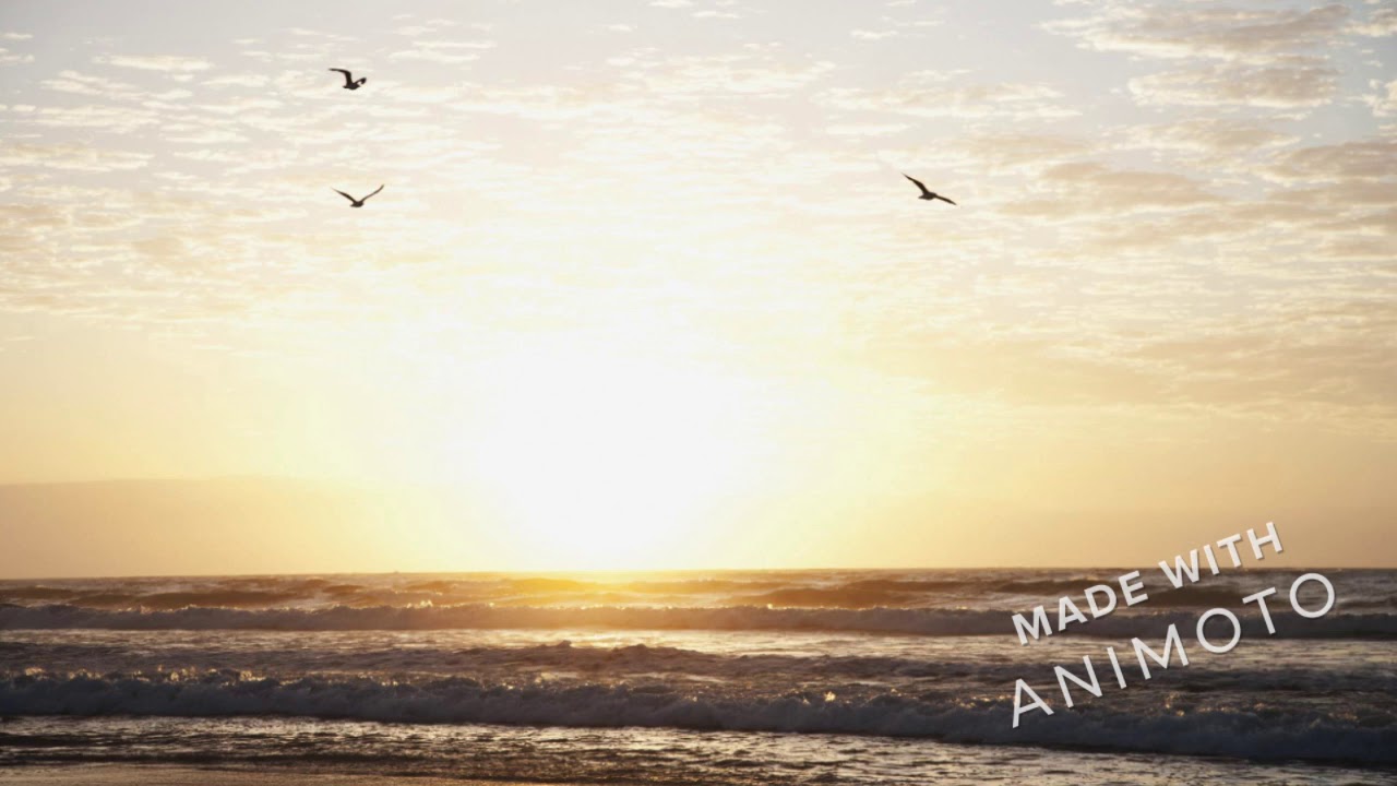 Acoustic guitar finger-picked sunset theme