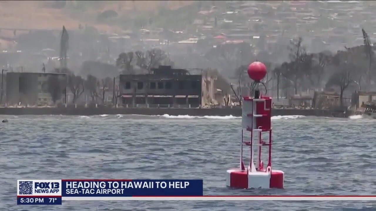 Travelers arrive at SEA Airport by the hundreds as wildfires devastate Maui | FOX 13 Seattle