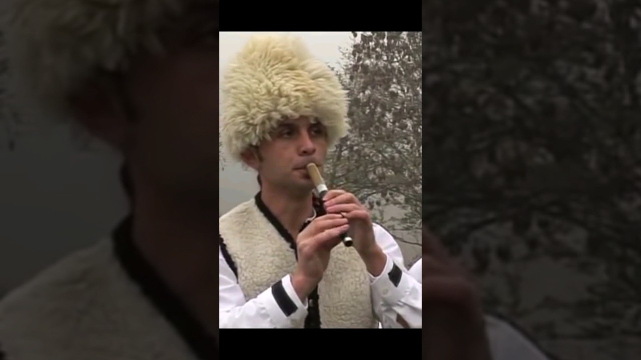 🤩🌞 EXTRA FRULA - ACA KULIĆ 🎵