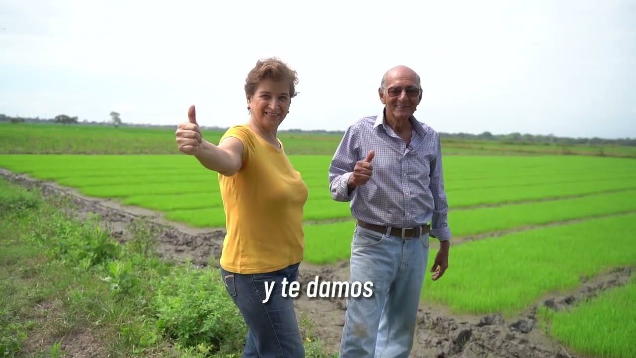 &iexcl;BanEcuador, el impulso que tu negocio necesita!