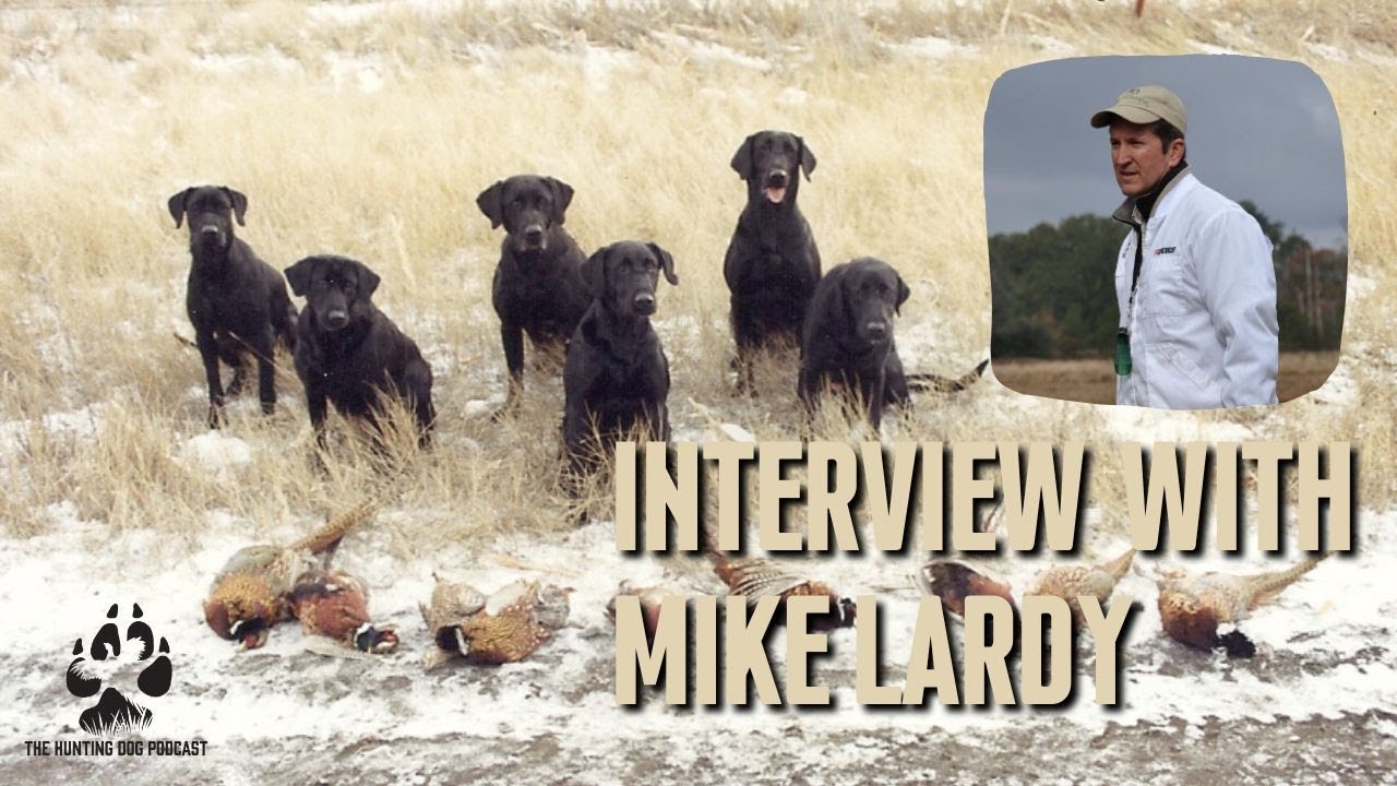 Interview with National Retriever Champion Trainer Mike Lardy