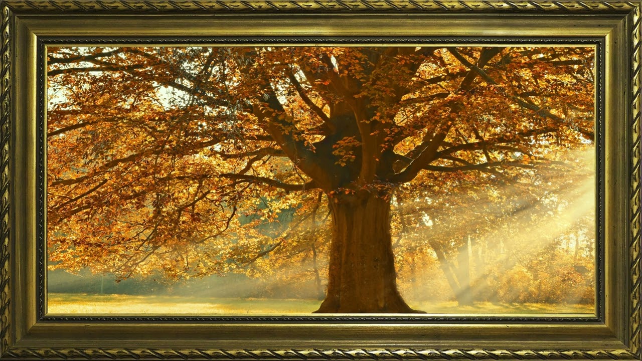 Luxurious autumn leaves/ TV LUXURY Art / Elegant TV Wallpaper Inspiration.