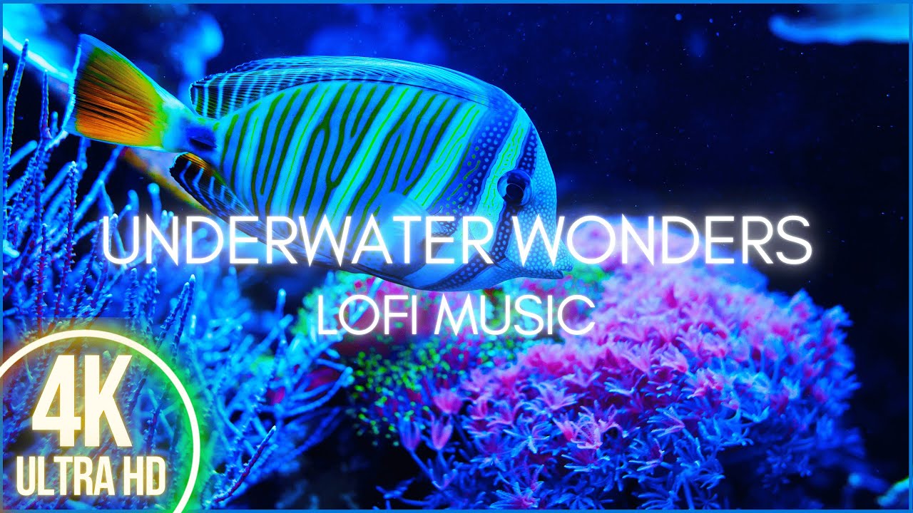 4K Stunning Underwater Wonders of the Sea + Relaxing Lofi Music - Coral Reefs & Colorful Sea Life