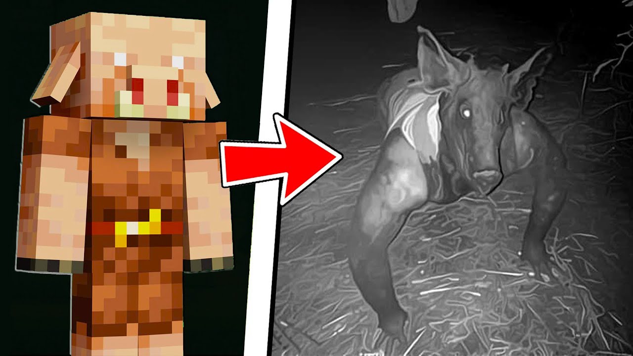 MOBS DO MINECRAFT CAPTURADOS NA VIDA REAL