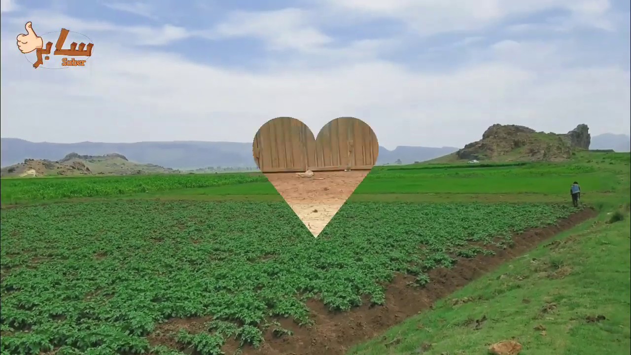 المشهد إبي.. واللحن تعزي | اليمن نحبها🇾🇪 
The landscape is Ibbi.. the tune is Taizi|We love Yemen!