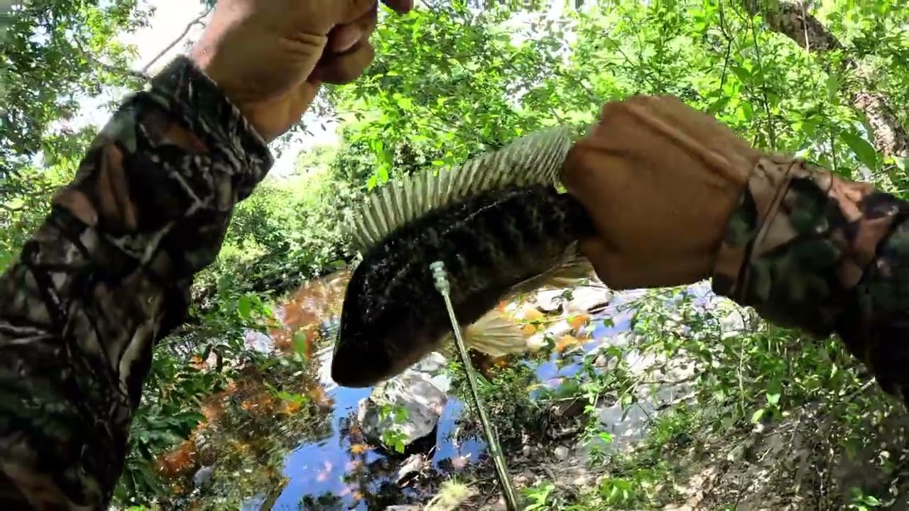 Pesca top com crossbow!