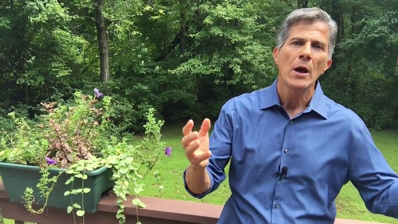 Self Doubt To Self Confidence