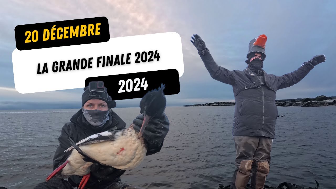 La grande finale de 2024