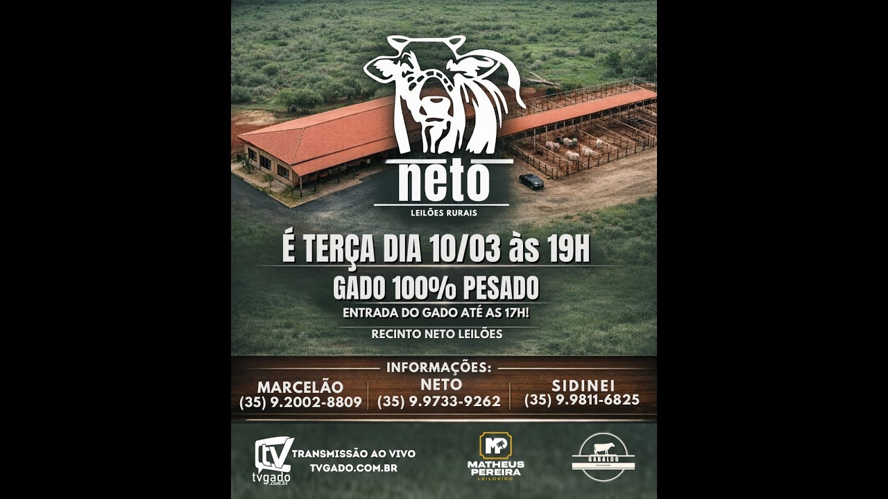 🎥 Leilão Presencial e Virtual Neto Leilões - 🎬 tvgado.com.br