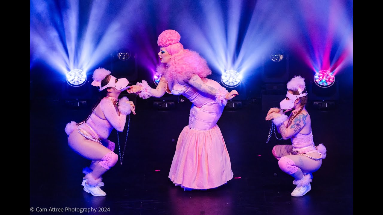2024 Mx Burlesque Queensland - Frenchie Darling - Unique