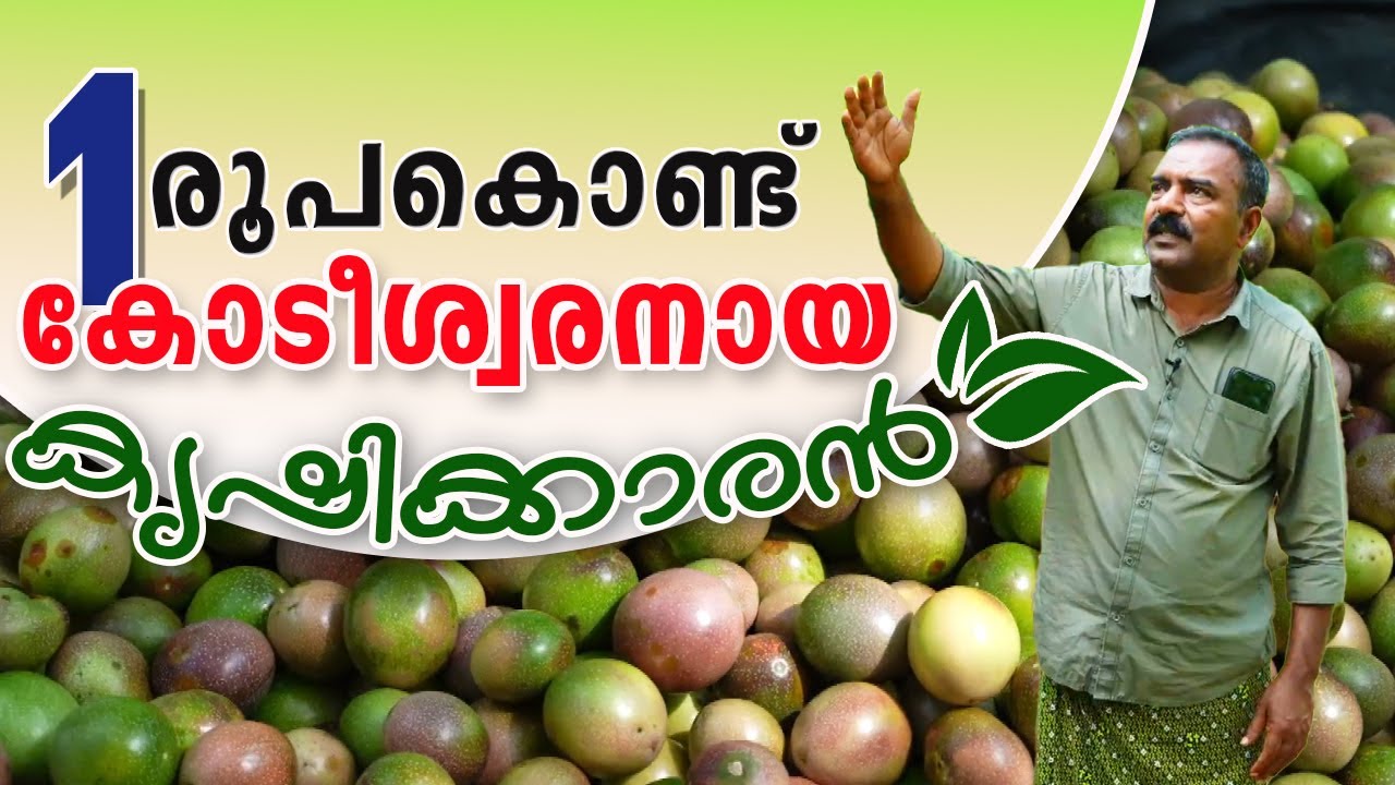 ഒരു രൂപകൊണ്ട് കോടീശ്വരനായ കൃഷിക്കാരന്‍ | Nattathum Nanachathum Epi :01 Sabu Wayanad | Shalom TV
