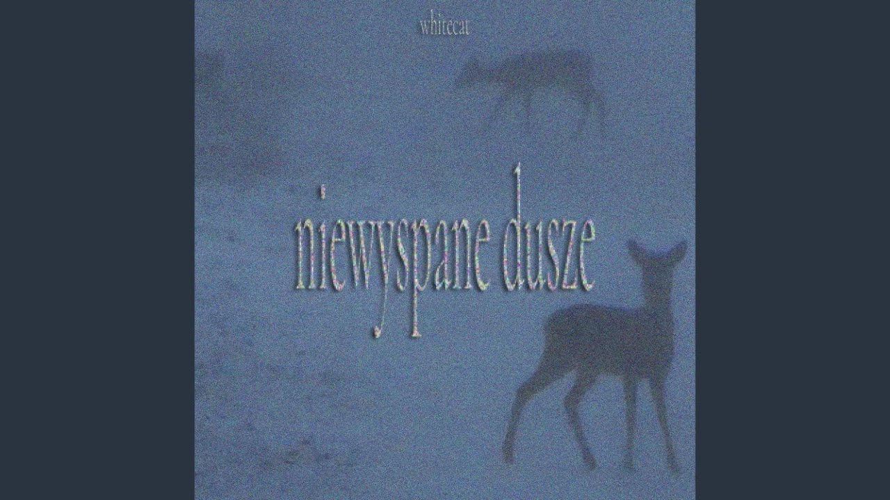 NIEWYSPANE DUSZE