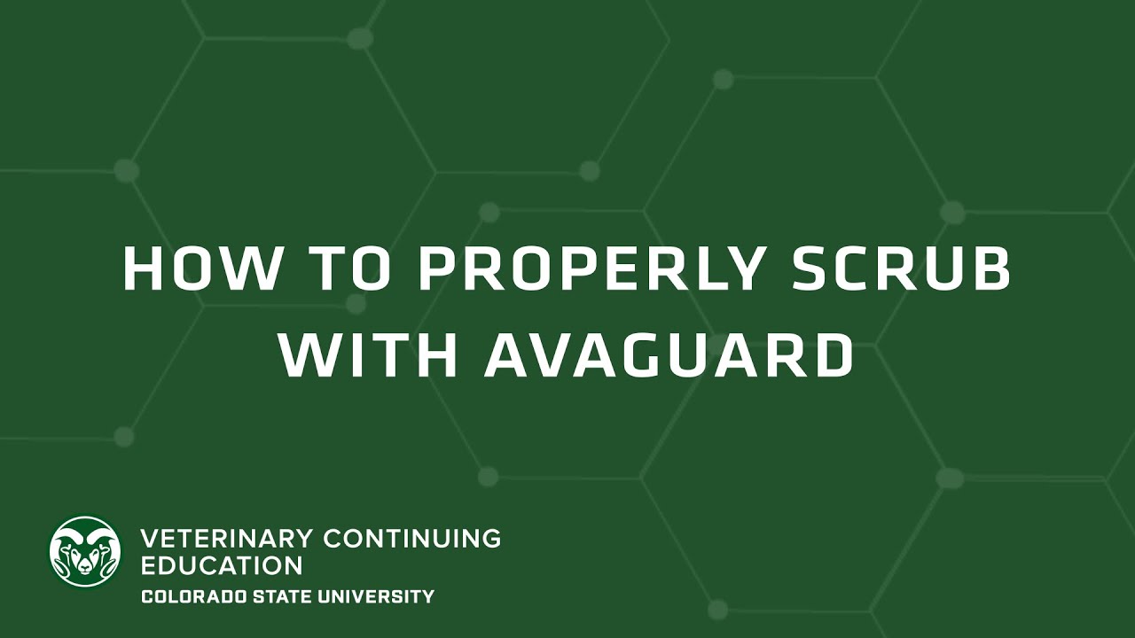 How To Properly Scrub with Avaguard (Brought to you by CSU VetCE)