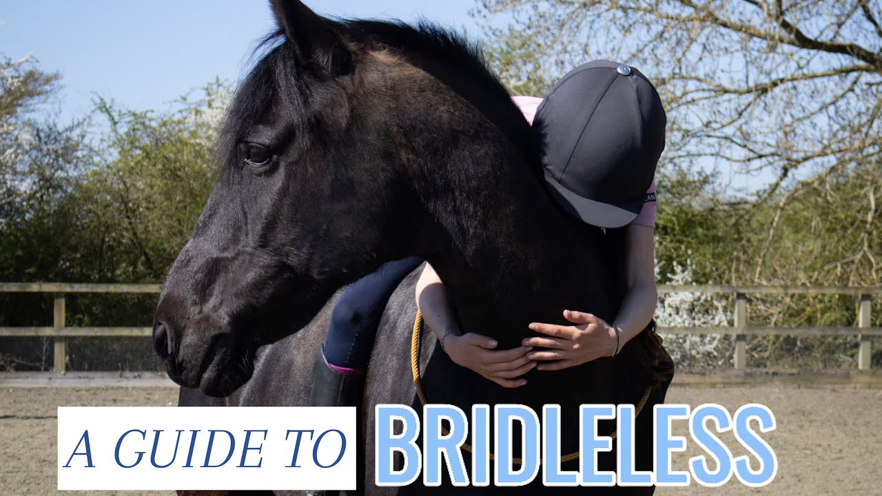 A BRIDLELESS GUIDE! (Highly requested!) 💚
