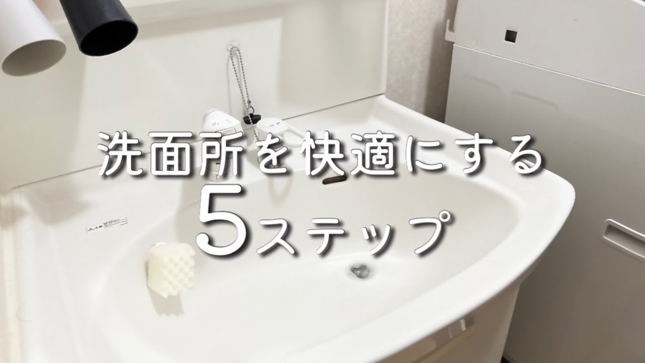 洗面所の捨て活 | 使いやすさを重視した収納と掃除方法 | 賃貸 | 洗面台下収納 | ミニマリスト