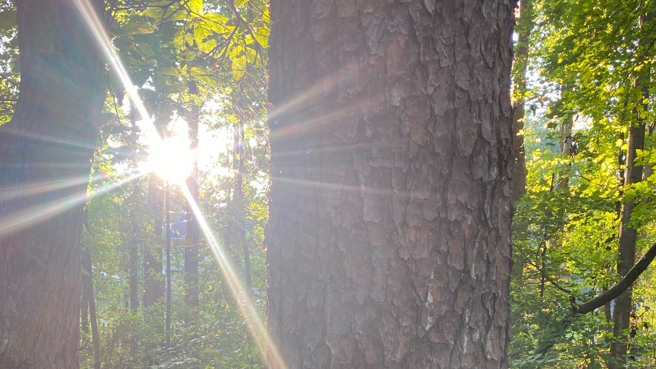 What Spirit Wants You to Know Today | Oracle & Mediumship
