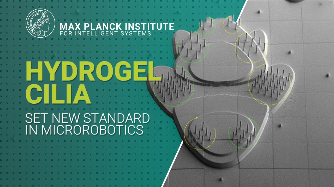 3D-printed low-voltage-driven ciliary hydrogel microactuators