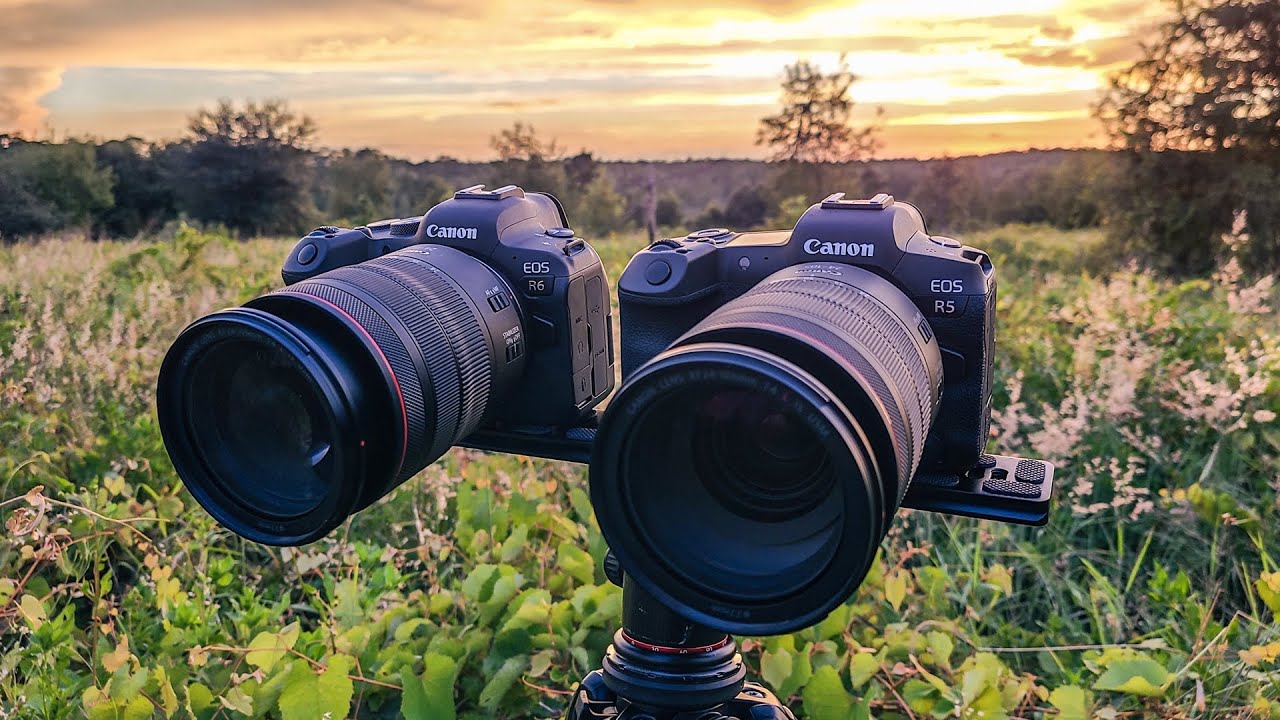 Canon EOS R5 VS R6 for VIDEO | Don't underestimate the R6