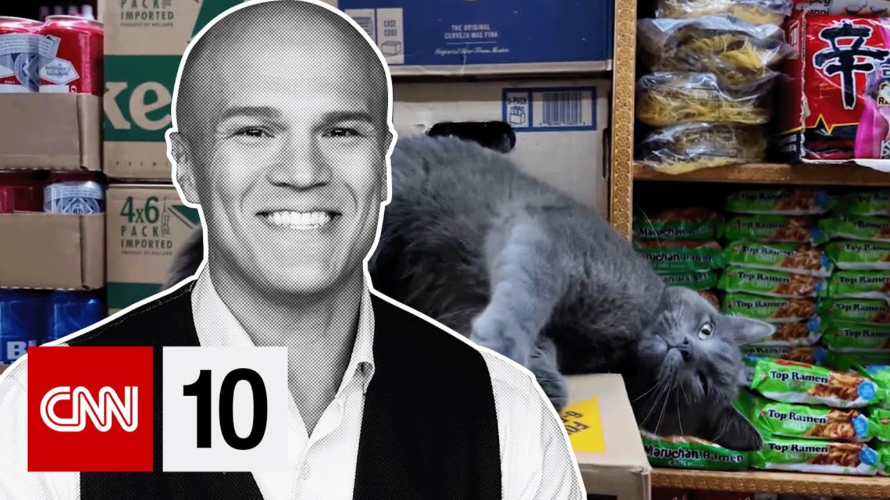 A bill to protect New York’s beloved bodega cats? | January 23, 2026