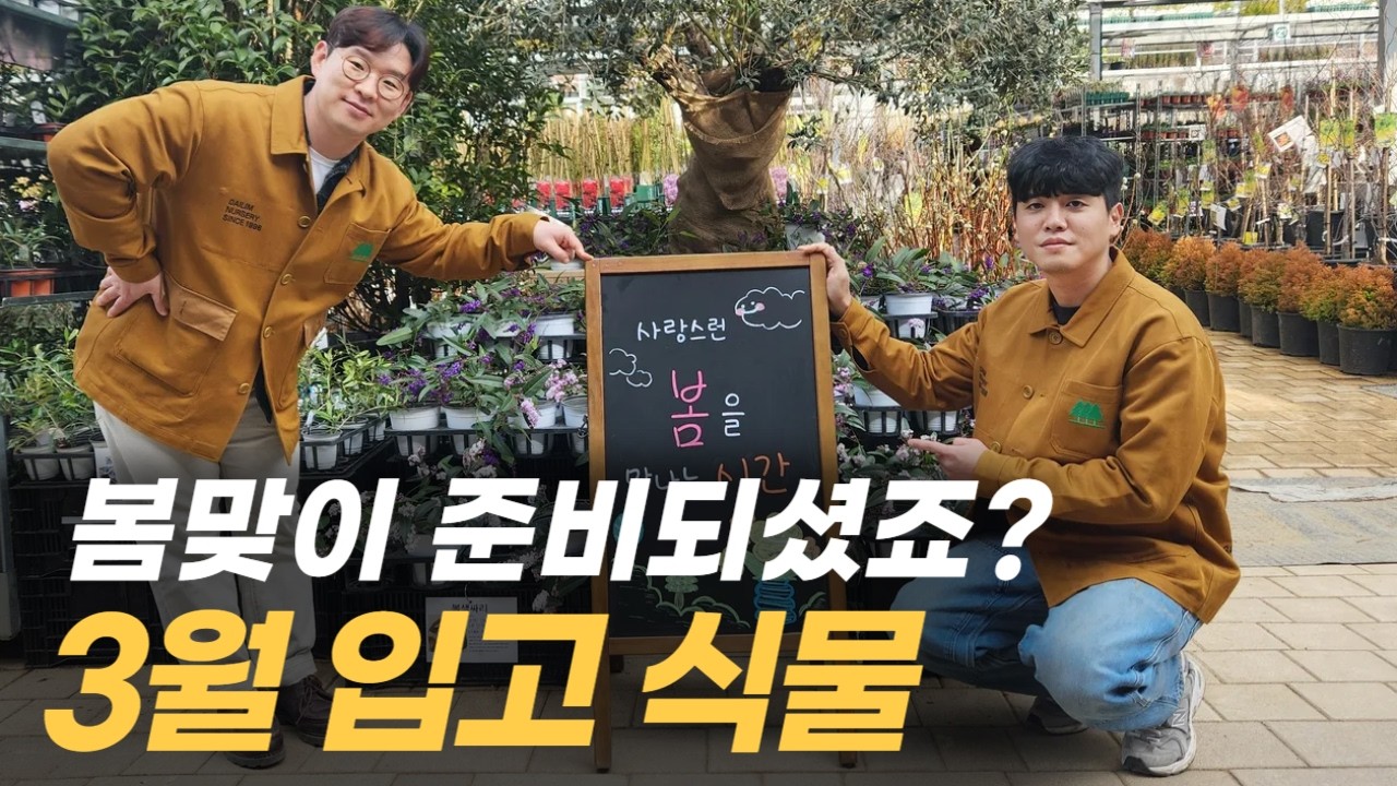 봄이 왔나봄🌸 25년 3월 입고 식물