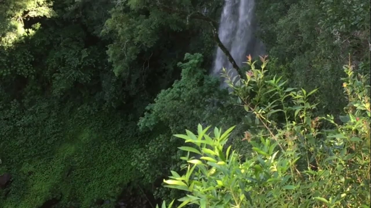 🤩🤩😱 CASCADAS Y SALTOS DE MISIONES ... IMPERDIBLES!!!