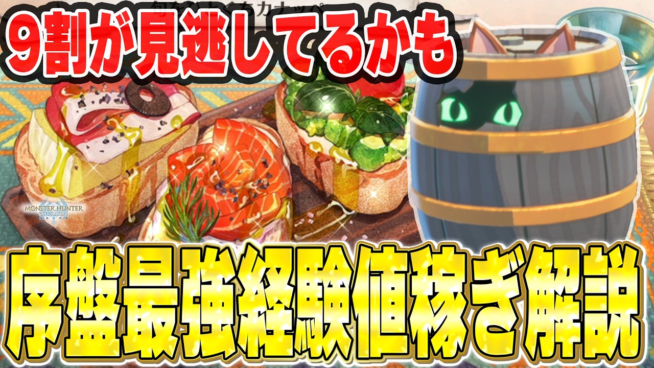 多くの人がスルーしてるかも...序盤で効率よくタルアイルーを出現させてレベリングする方法を紹介【モンハンストーリーズ3】