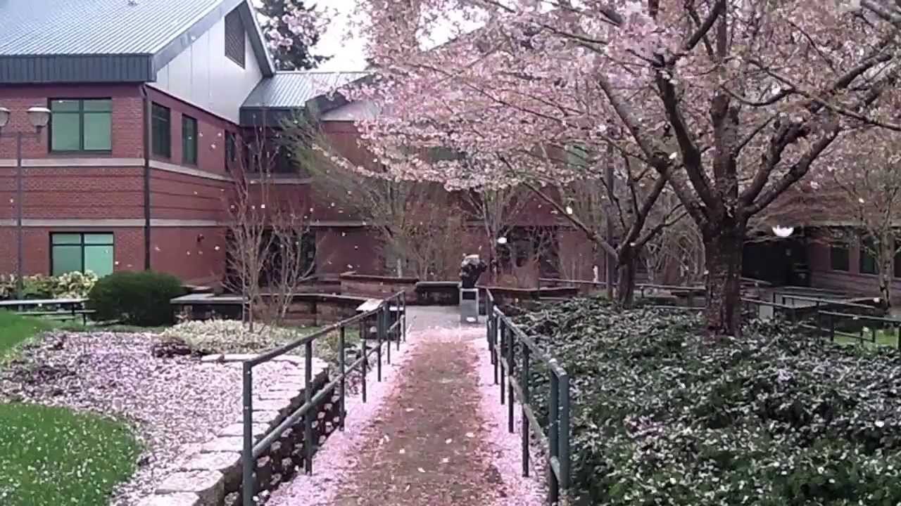 Spring on Campus "South Puget Sound Community College"