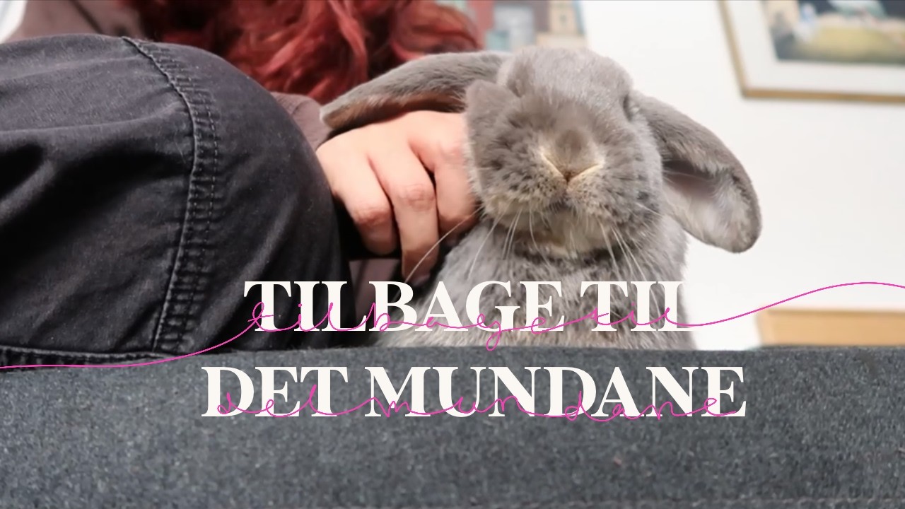 Tilbage til det mundane │ Sidste stretch som 