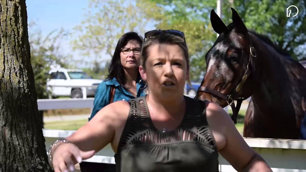 The Equestrian Hunter - The Pony Mother