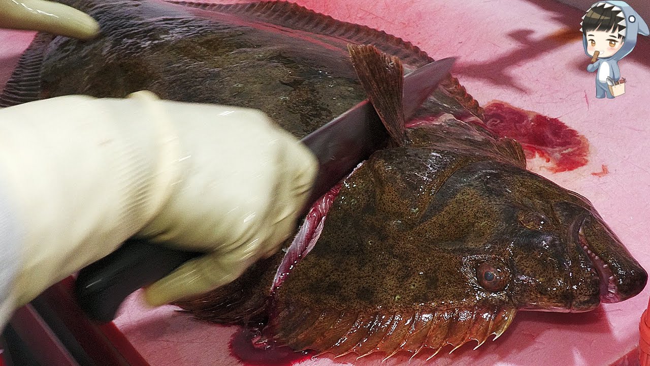 KOREAN STREET FOOD GIANT HALIBUT FLATFISH FLOUNDER SASHIMI KOREA SEAFOOD MARKET 포항 송도 광어 201126