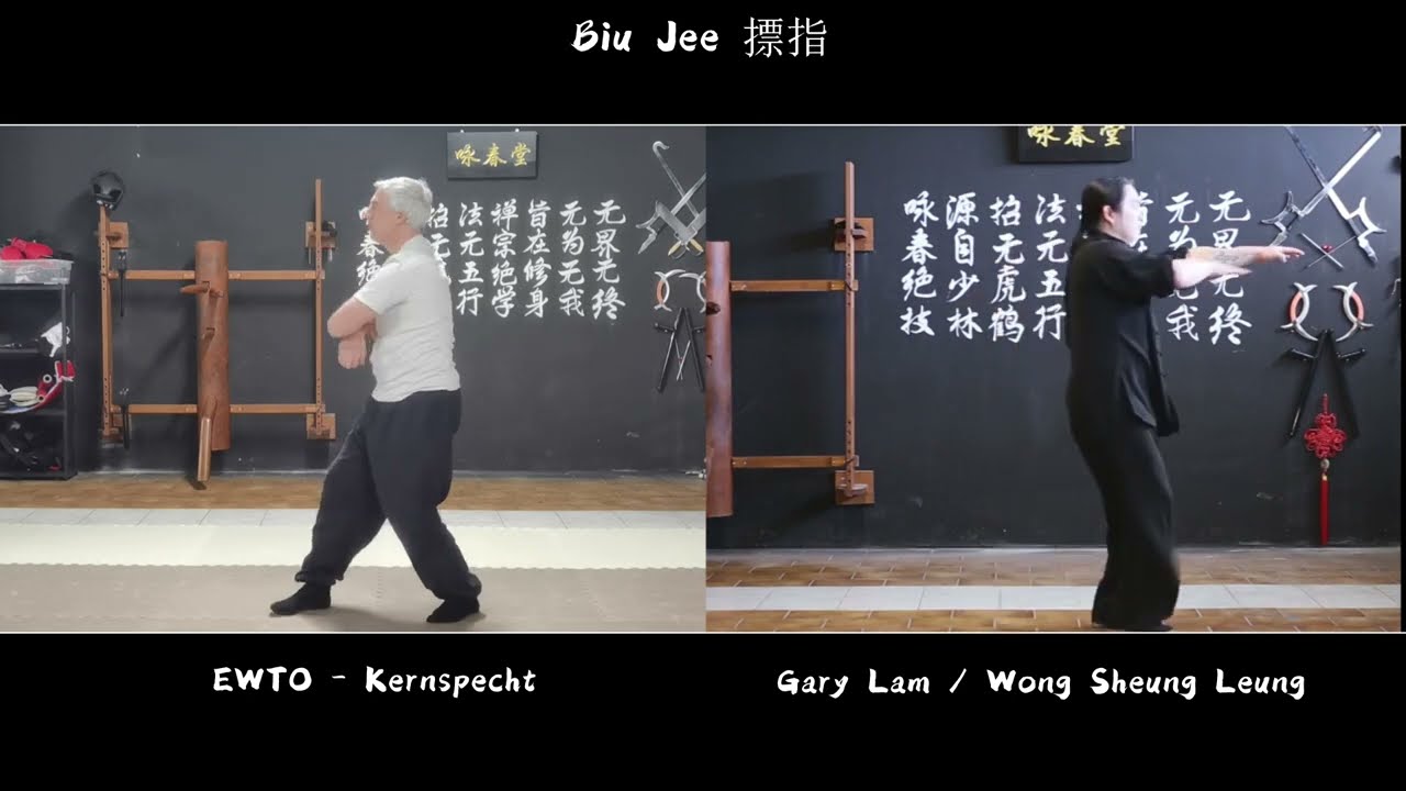 Biu Jee   Biao Zhi   摽指 - A comparison with EWTO