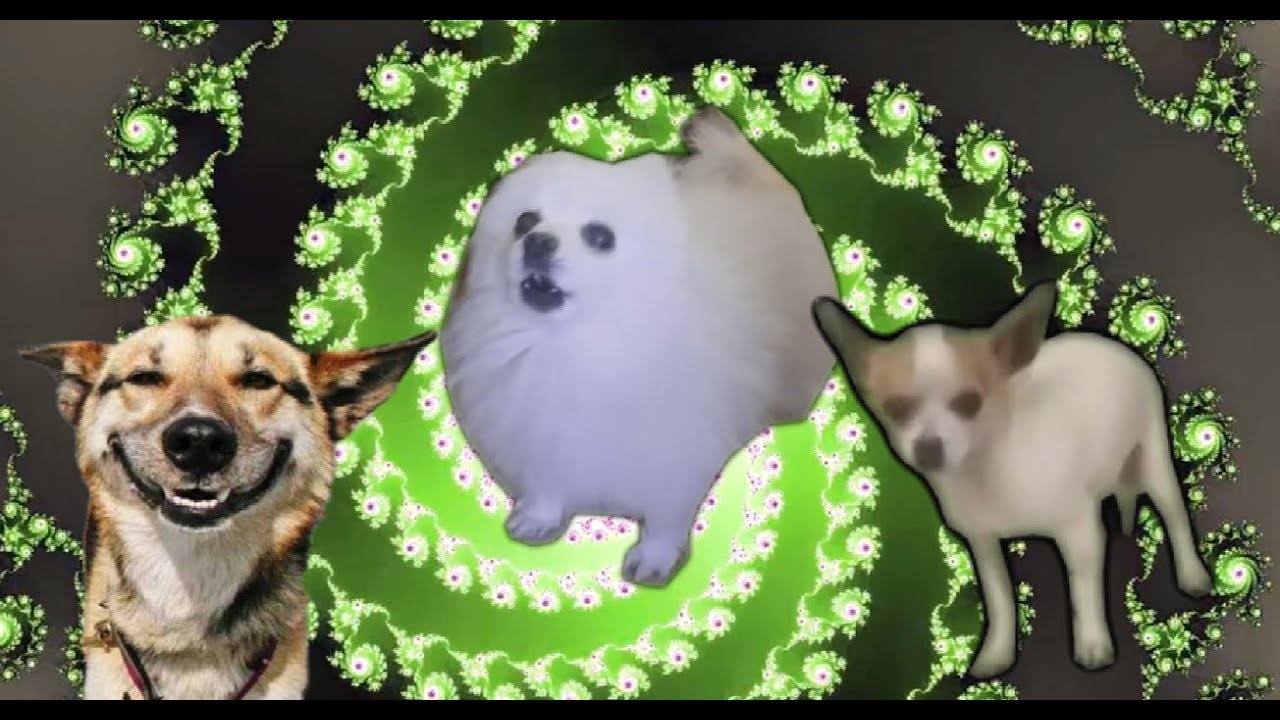 Pumped up Borks